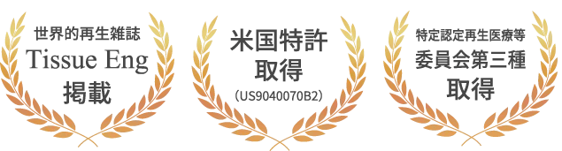 世界に認められたプルージュのPRP