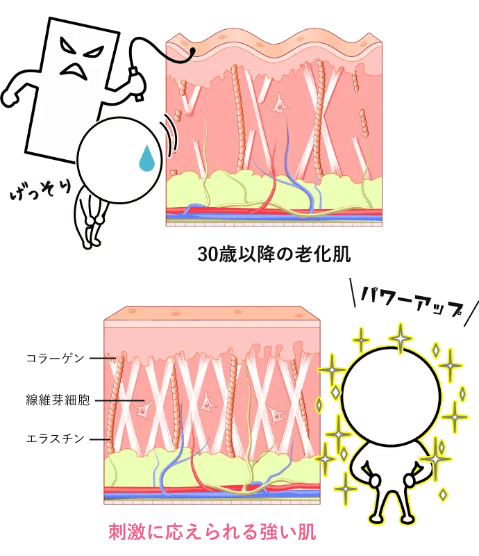 肌の底力UPで刺激に応えられる強い肌