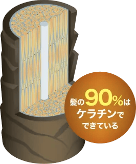 症例写真