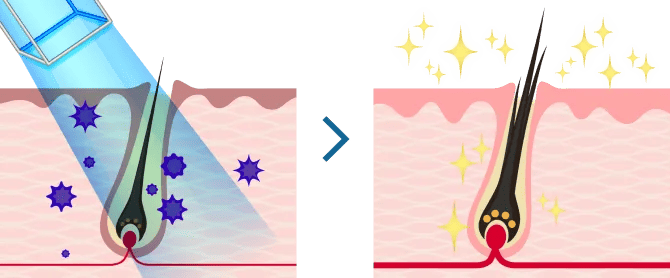 当院の治療について