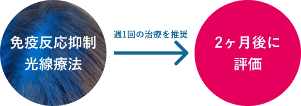 基本のモデルプラン