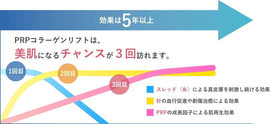 PRPコラーゲンリフトのメカニズム ②