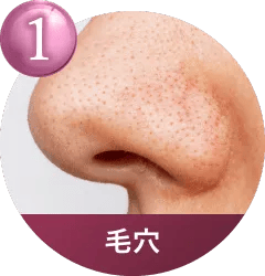 こんなお肌のお悩みに適しています