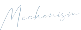 mechanism