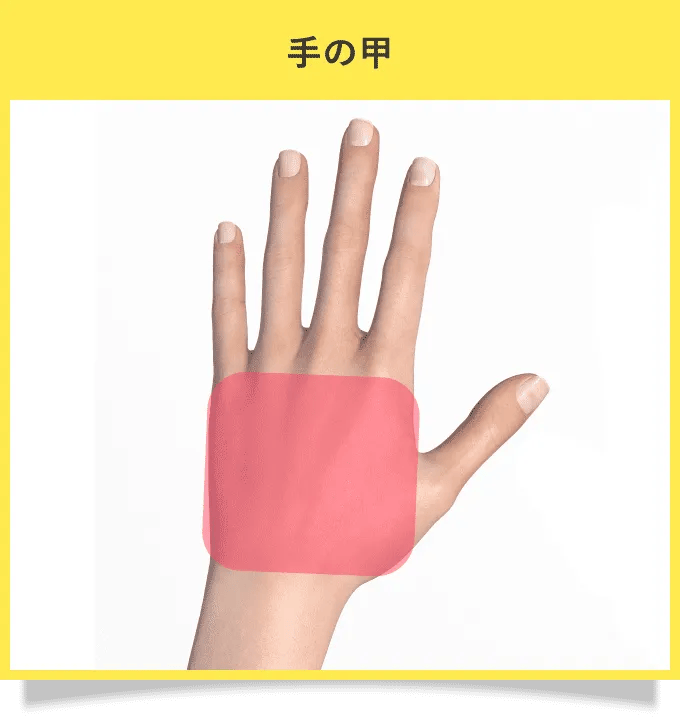 手の甲