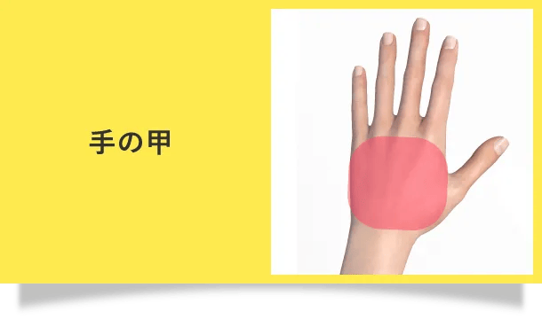 手の甲