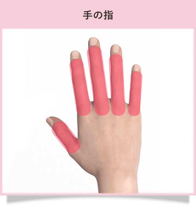 手の指