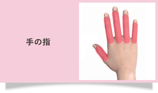 手の指