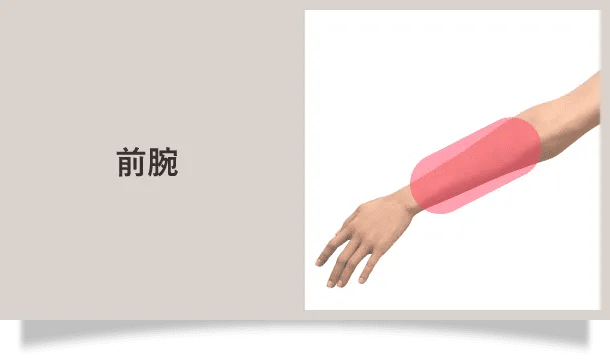 前腕