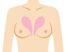 谷間を強調したい