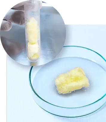 唯一無二のフリーズドライ技術