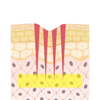 肌に均一に浸透します
