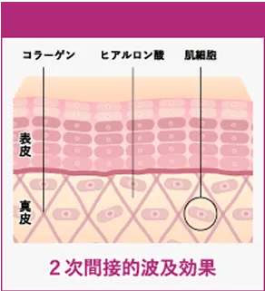2次間接的波及効果