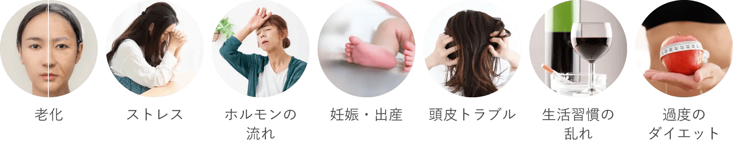 老化　ストレス　ホルモンの流れ　妊娠・出産　頭皮トラブル　生活習慣の乱れ　過度のダイエット